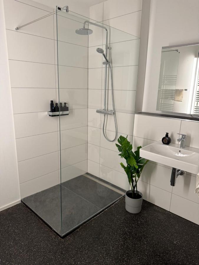 Isaak Appartment Stadtjuwel Waldshut-Tiengen Esterno foto