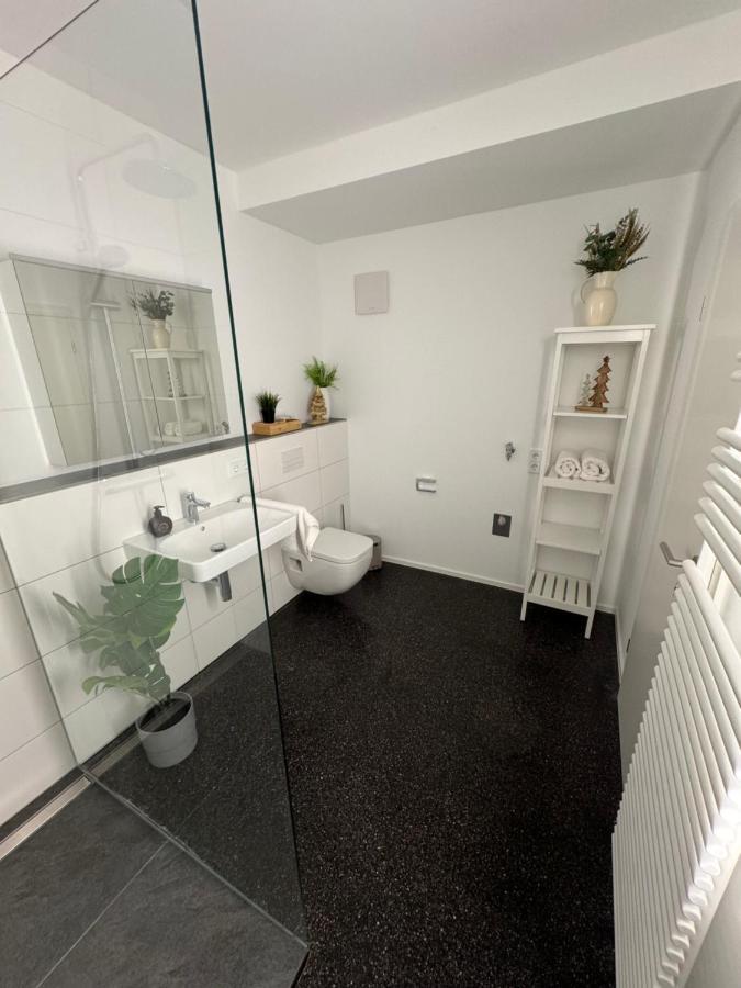 Isaak Appartment Stadtjuwel Waldshut-Tiengen Esterno foto