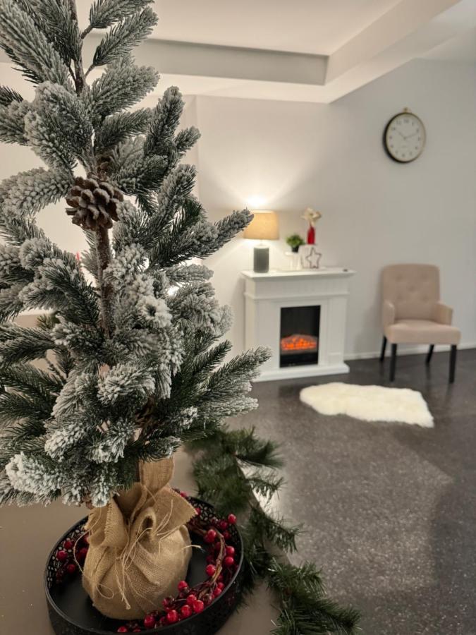 Isaak Appartment Stadtjuwel Waldshut-Tiengen Esterno foto