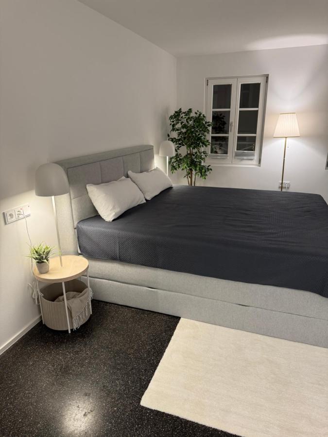 Isaak Appartment Stadtjuwel Waldshut-Tiengen Esterno foto