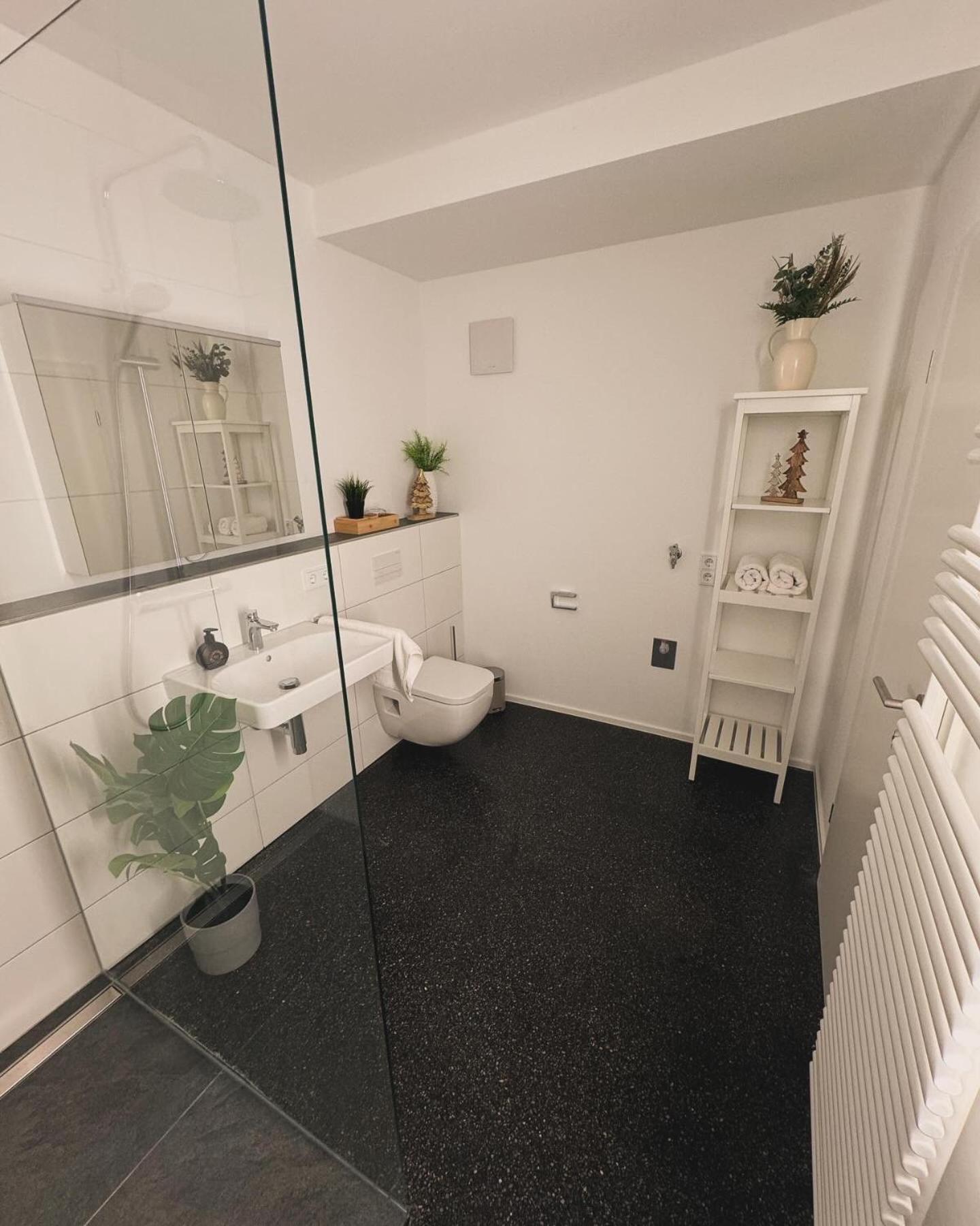 Isaak Appartment Stadtjuwel Waldshut-Tiengen Esterno foto