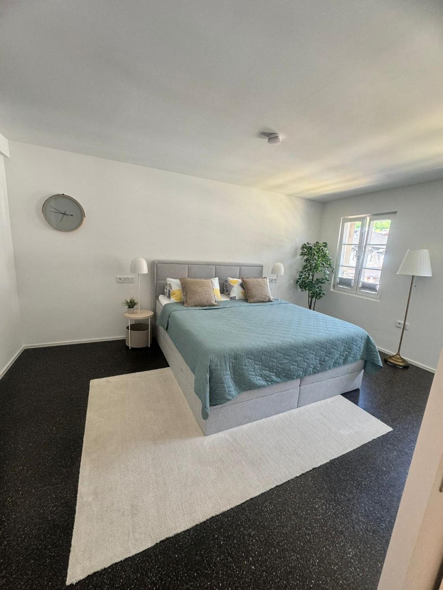Isaak Appartment Stadtjuwel Waldshut-Tiengen Esterno foto
